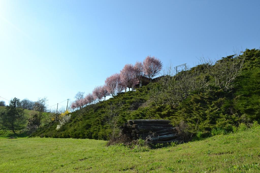 La Locanda Di Valbella Asti Dış mekan fotoğraf