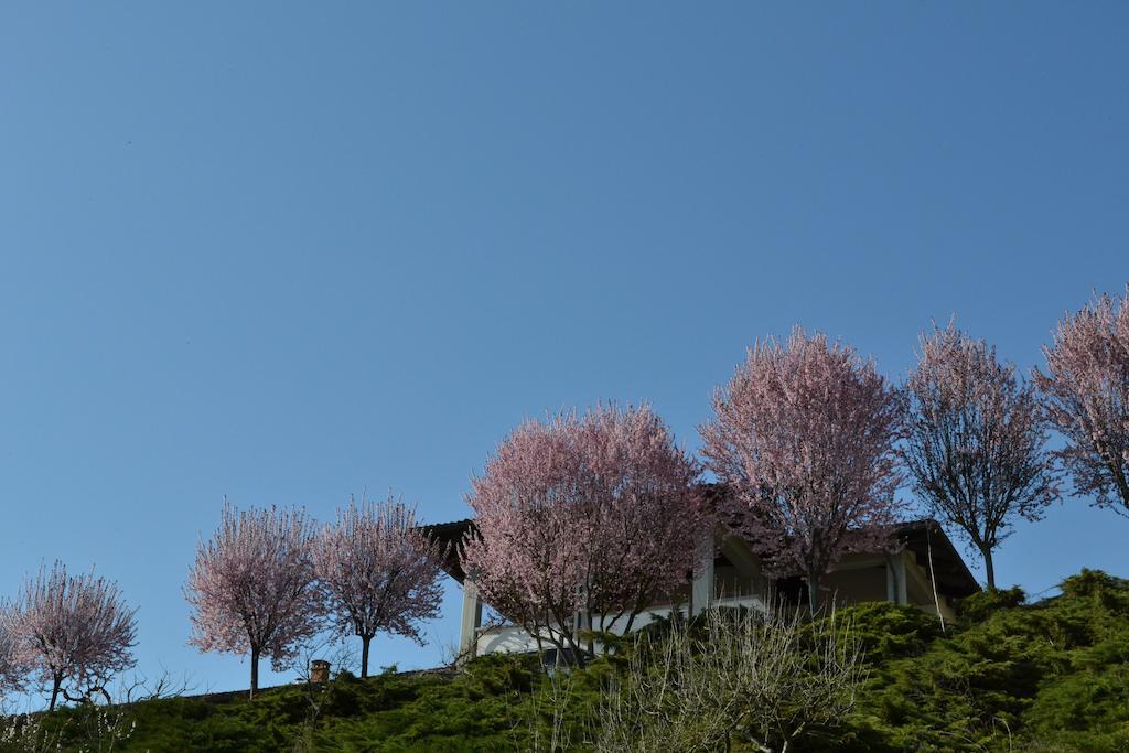 La Locanda Di Valbella Asti Dış mekan fotoğraf